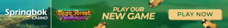 Springbok Casino
